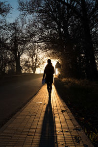 Rear view of silhouette woman walking on street