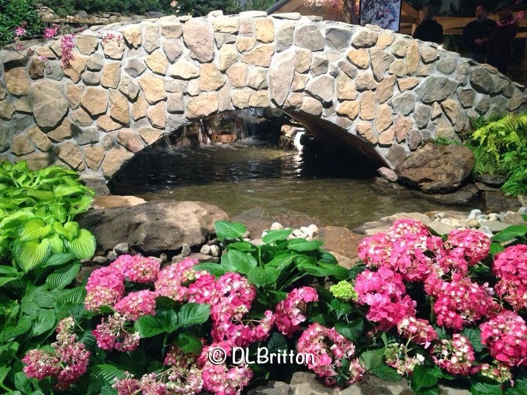 flower, water, plant, rock - object, freshness, nature, growth, beauty in nature, day, high angle view, stone - object, outdoors, pond, formal garden, pink color, park - man made space, leaf, stone wall, built structure, green color