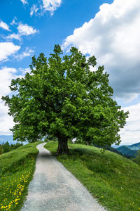 Road passing through landscape