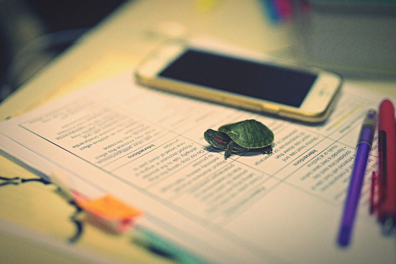 book, open, education, paper, indoors, selective focus, text, communication, close-up, page, wisdom, pen, literature, learning, information, concepts, green color, school, intelligence, magnifying glass, complexity, message