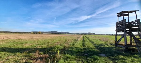 Scenic view of agricultural field against sky