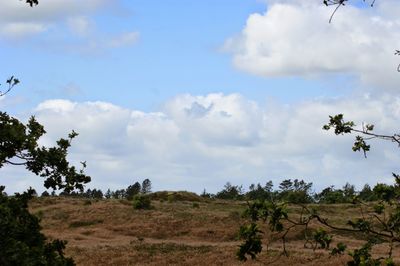 Scenic view of landscape against cloudy sky