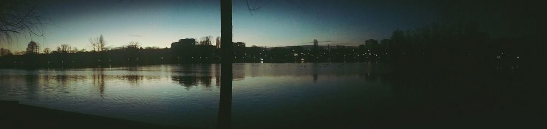 Reflection of trees in water