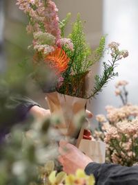 Close-up of flowering plant