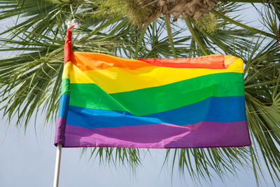 Close-up of flag against palm trees