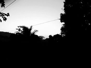 Low angle view of silhouette trees against sky