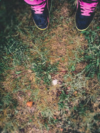 Low section of person standing on field