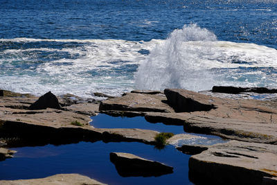 Scenic view of sea shore against sky