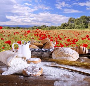 Flowers in basket on table by field against sky