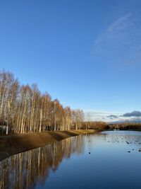 Scenic view of lake against clear blue sky