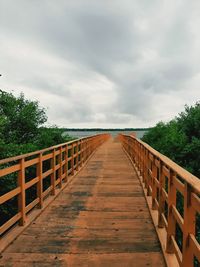 Wooden footbridge along plants and trees against sky