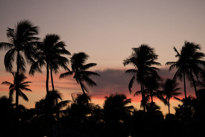 Silhouette palm trees against sky during sunset