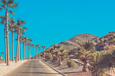 Road amidst trees against clear blue sky