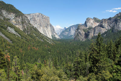 Yosemite park