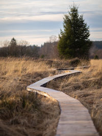 Road amidst field against sky