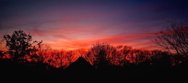 Silhouette of trees at sunset