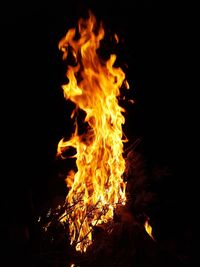 Close-up of fire in the dark