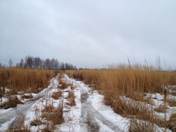 Snow covered field with trees in background