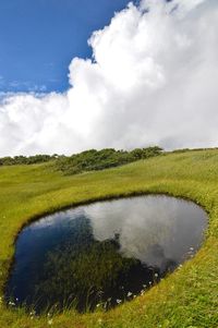 Scenic view of field against sky