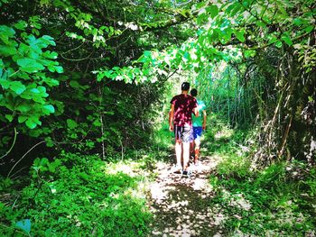 Rear view of man walking in forest