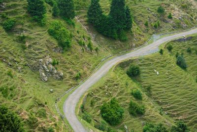 High angle view of winding road amidst trees