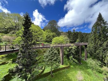 Bridge over grassland against sky alishan sky road