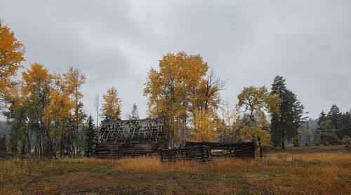 Trees on field against sky during autumn