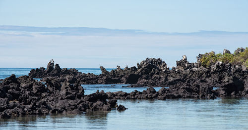 Panoramic view of a rock formation in sea against sky