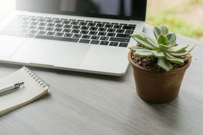 High angle view of succulent plant by laptop and book on table