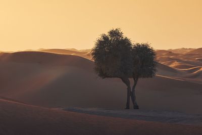 Scenic view of desert against clear sky during sunset