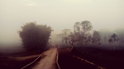 Road amidst trees against sky during foggy weather