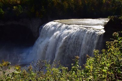 Scenic view of waterfall in forest