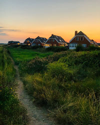 Scenic view of grassy field against sky during sunset