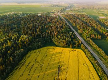 High angle view of agricultural field