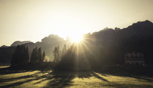Sunlight streaming through trees against clear sky