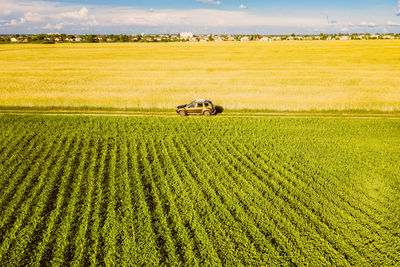 Scenic view of agricultural field against sky