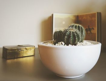 Close-up of potted plant on table at home