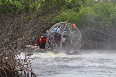 Boat in river amidst trees