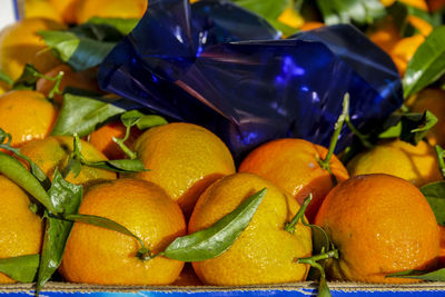 Close-up of fruits