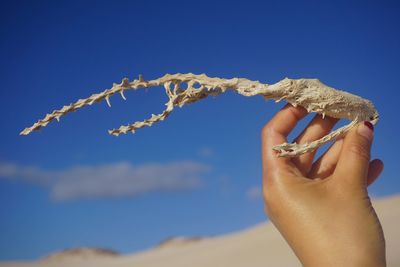 Close-up of hand holding blue sky