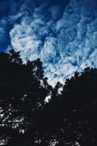 Low angle view of silhouette trees against blue sky