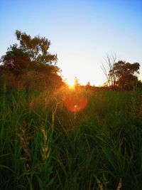 Scenic view of field against sky during sunset