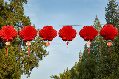 Low angle view of red lanterns hanging against sky