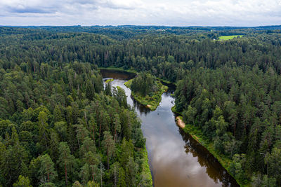 High angle view of river amidst trees in forest against sky