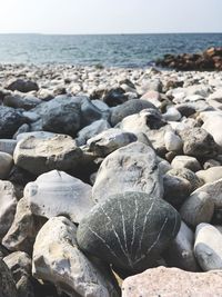 Rocks on sea shore