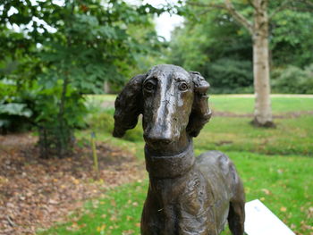 Statue of a dog in park