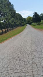 Empty road along trees