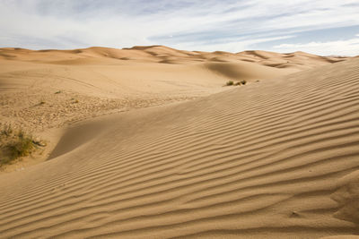 Scenic view of desert against sky