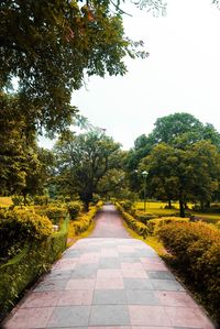 Footpath amidst trees in park against clear sky