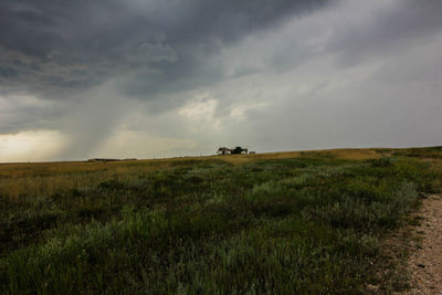 Scenic view of grassy field against sky